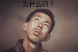 上海正规讨债查询：全面了解讨债行业，保障您的权益