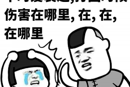 七里河区要账公司：专业解决债务难题，助力企业健康发展